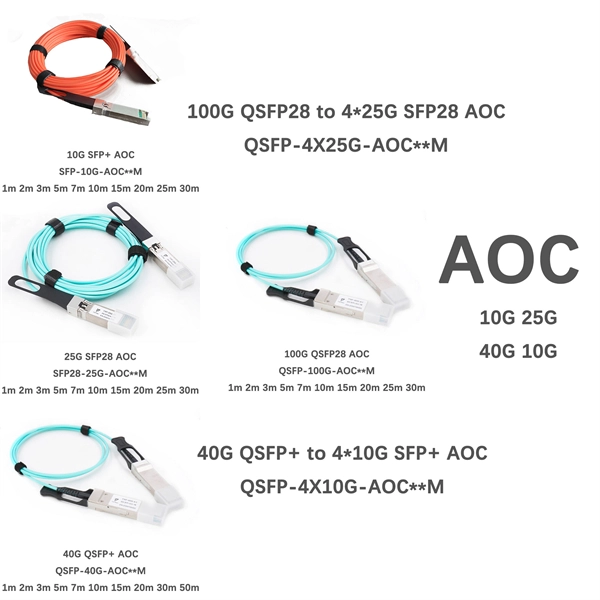 How optical modules transmit data