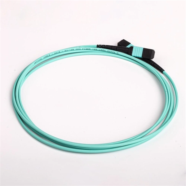 Advantages and disadvantages of fiber optic cables for home use